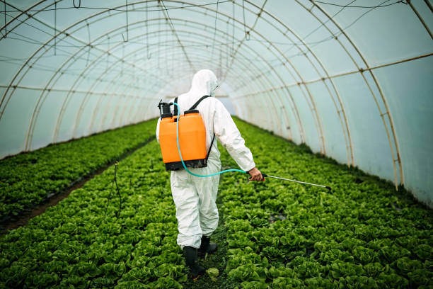 Best Mosquito Control Services  in North Sea, NY