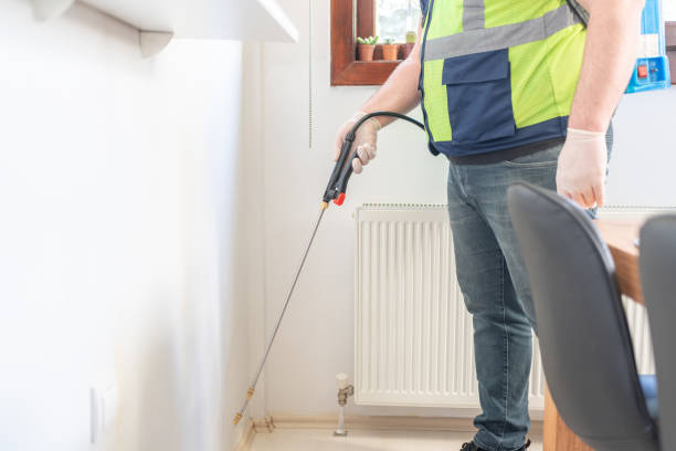Best Flea Control Services  in North Sea, NY