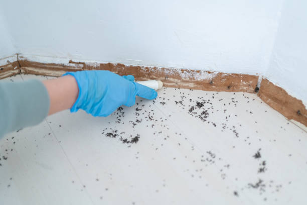 Pest Prevention Services in North Sea, NY